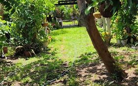 Casa amplia con zonas verdes y cerca a la Basílica
